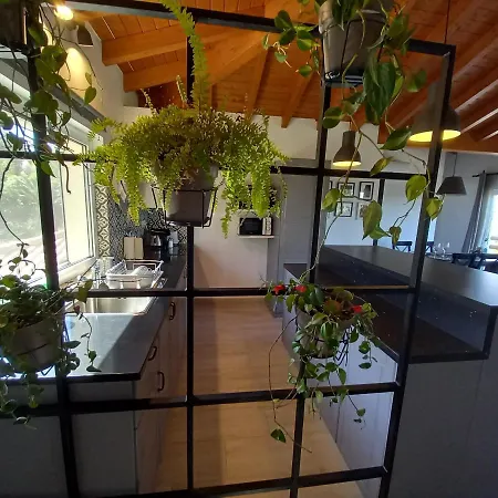 Carlos - Penthouse - Belch1952 * Lagos