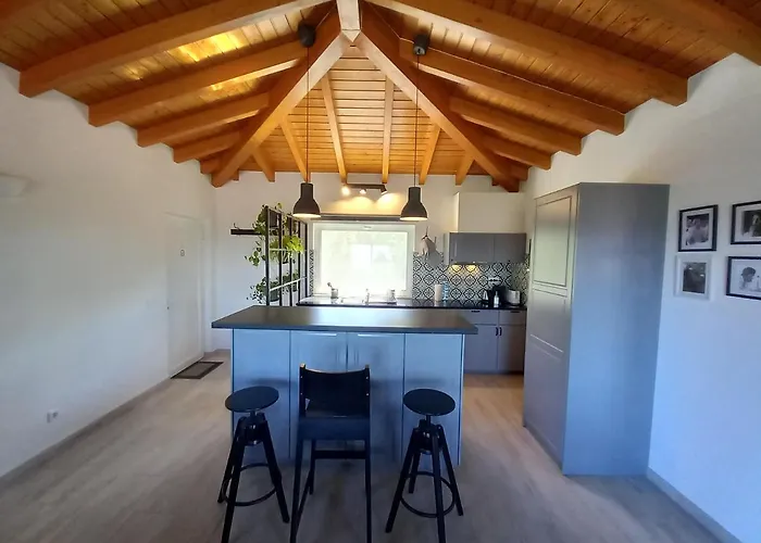 Carlos - Penthouse - Belch1952 ラゴス