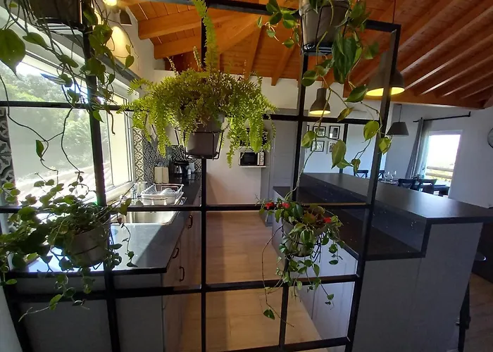 Carlos - Penthouse - Belch1952 * ラゴス